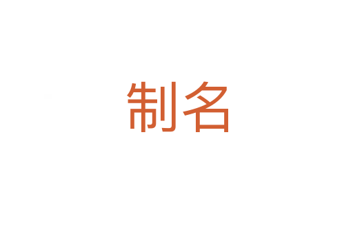 制名