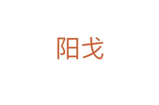 阳戈