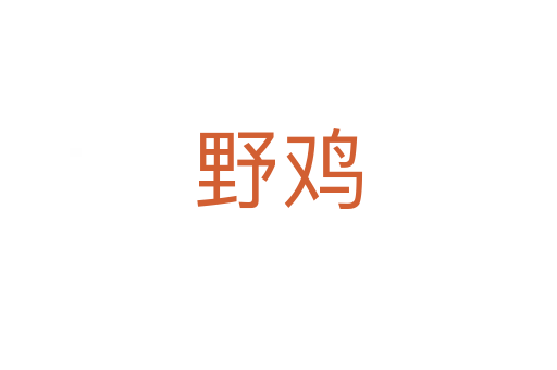 野鸡