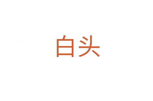 白头