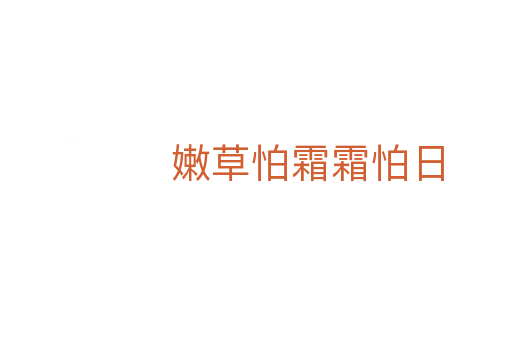 嫩草怕霜霜怕日